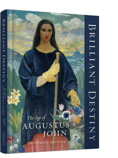 Cover image for Brilliant Destiny, isbn: 9781848226579