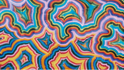 CONTEMPORARY PAINTERS Author Interview : David Rhodes on Bernard Frize